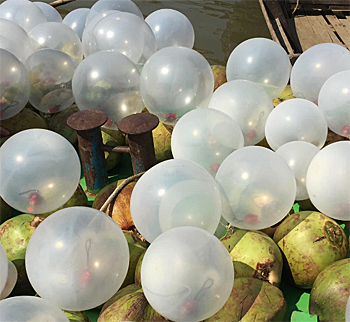 dws-tud-irriwaddy-flow-balloons-350px